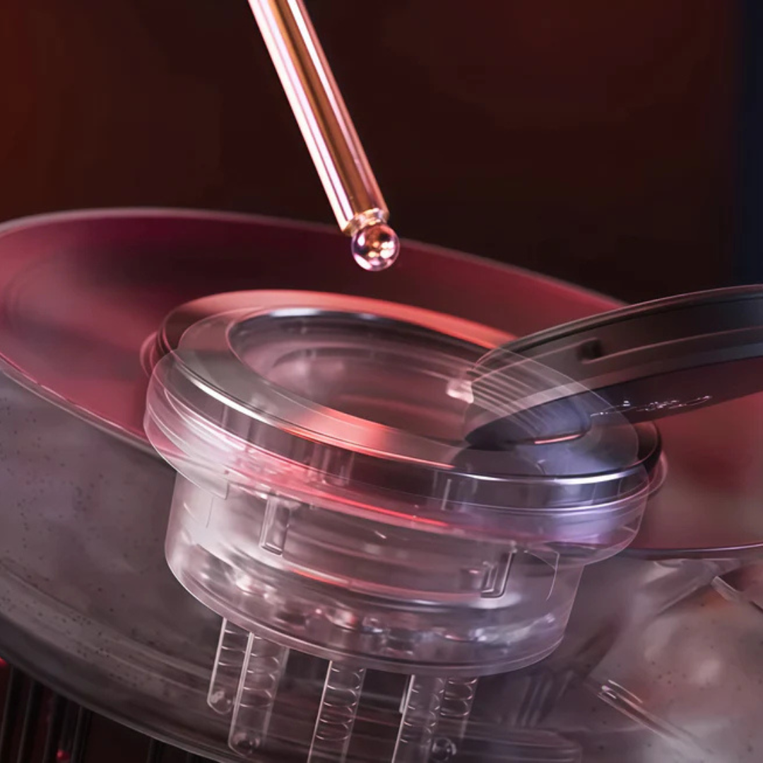 LED Scalp Therapy Serra Minas – Estímulo Capilar Avançado